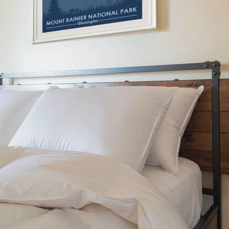 Feathered Friends Down Pillow 850 Fill Power