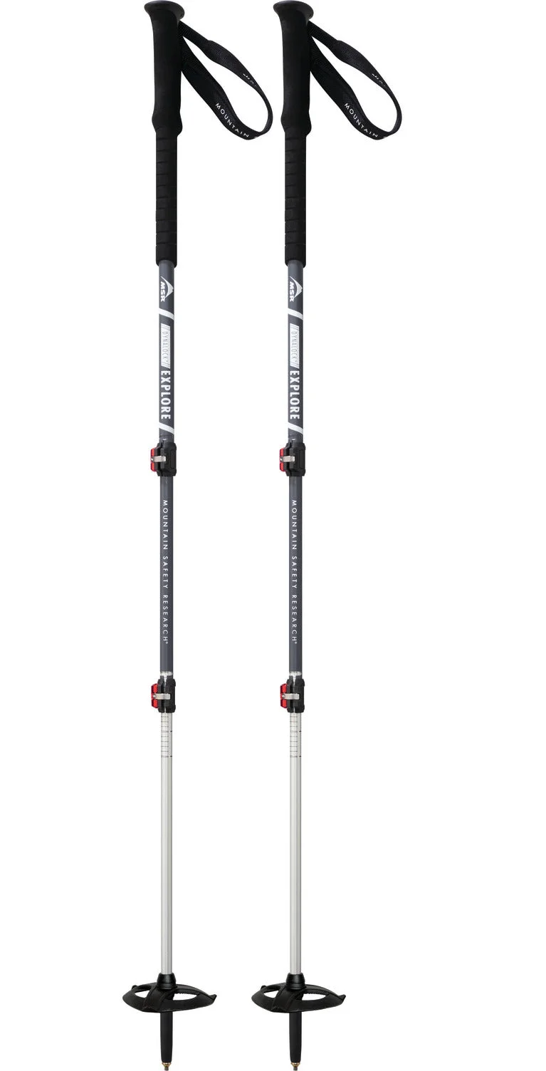 MSR DynaLock Explore Backcountry Poles