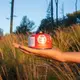 MSR IsoPro Gas Canister 110g - thumbnail 2