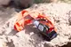 Petzl Swift RL - thumbnail 3