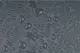 Sea To Summit Alto LightFoot Footprint - thumbnail 4